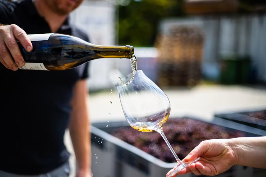 Un vigneron sert un verre de vin blanc au domaine